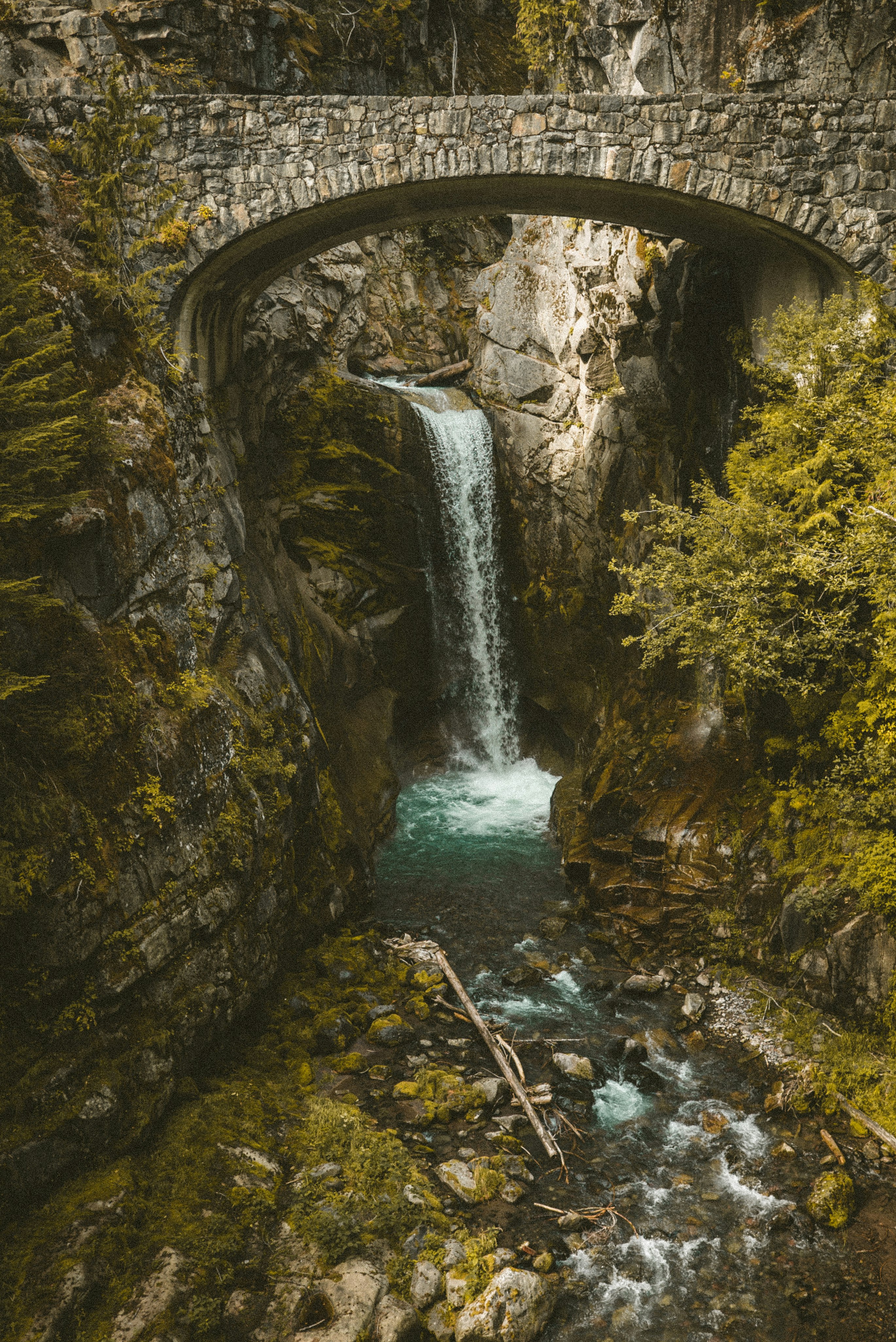 water falls between green trees during daytime